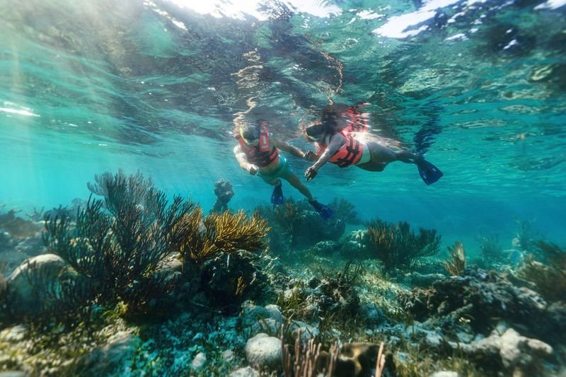 Snorkel